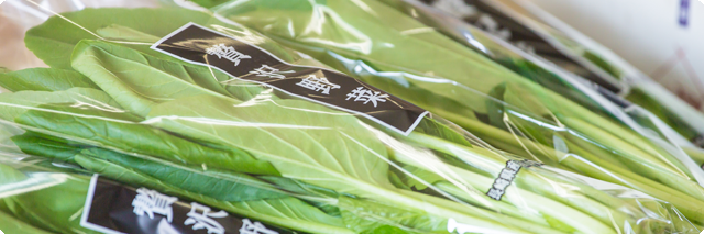 長崎県 田中農園 新鮮な野菜のお届けします